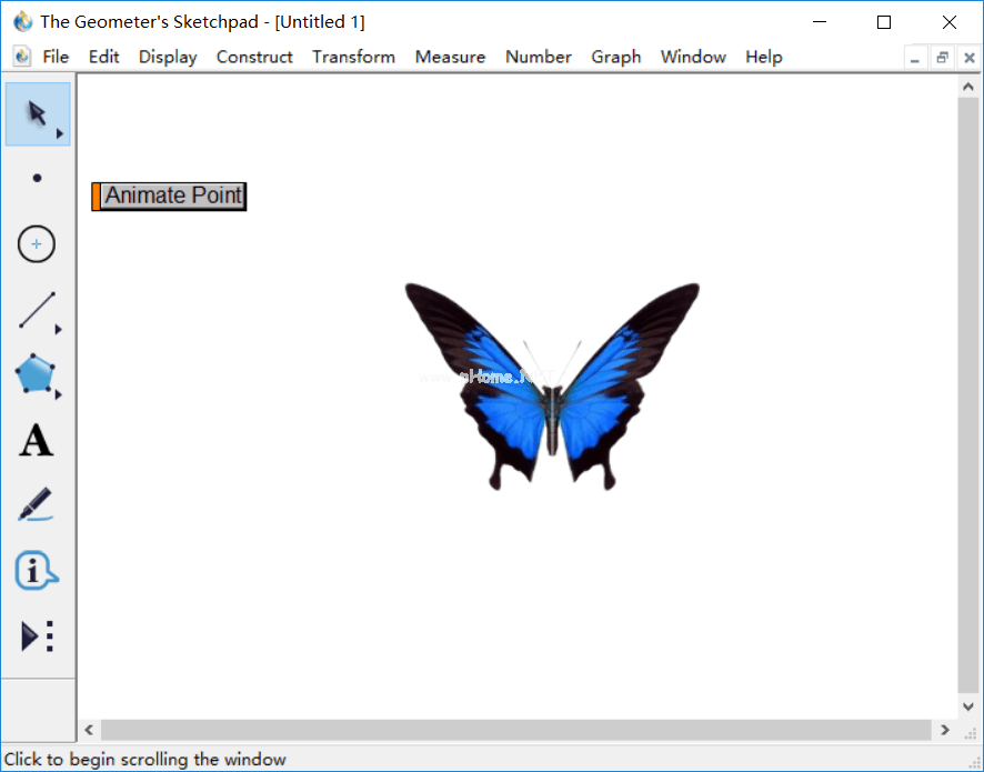 几何画板怎么制作蝴蝶动画