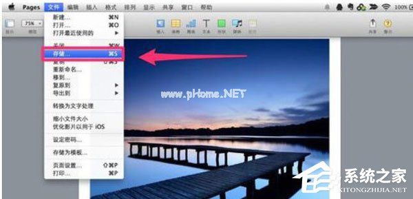 Pages怎么保存文档？