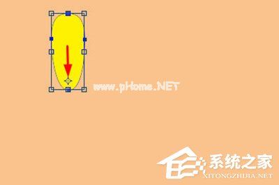 PS怎么画花朵形状？PS画花朵形状的方法