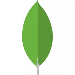 nosql manager for mongodb v5.0.0.6 破解版