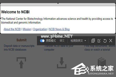 有道词典怎么截图翻译？有道词典截图翻译的方法