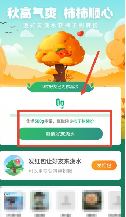 蚂蚁森林怎么领柿柿顺心树皮肤？蚂蚁森林柿子树装扮领取方法[多图]图片5