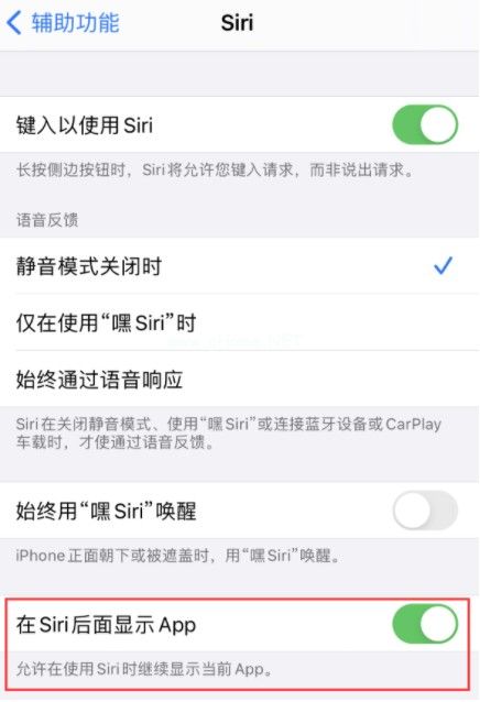 ios14siri怎么设置悬浮？ios14siri悬浮设置方法[多图]图片3