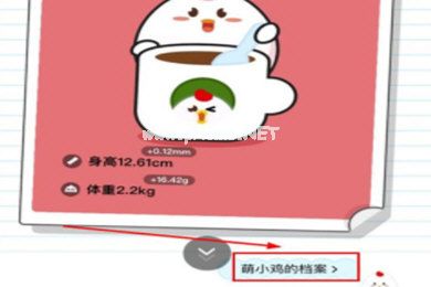 如何修改蚂蚁庄园小鸡信息 蚂蚁庄园修改小鸡信息的方法