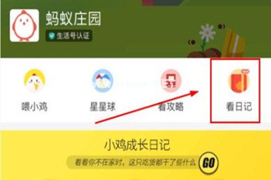 如何修改蚂蚁庄园小鸡信息 蚂蚁庄园修改小鸡信息的方法