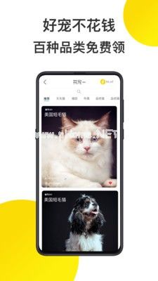 共宠APP怎么领养宠物？共宠APP宠物领养方法[多图]图片1