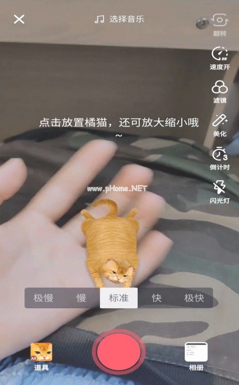 抖音AR橘猫怎么弄？AR橘猫特效使用方法[多图]图片3