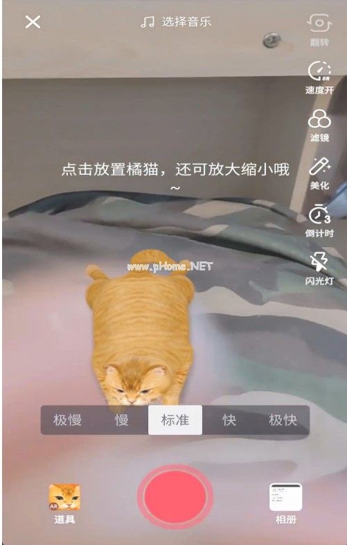 抖音AR橘猫怎么弄？AR橘猫特效使用方法[多图]图片1