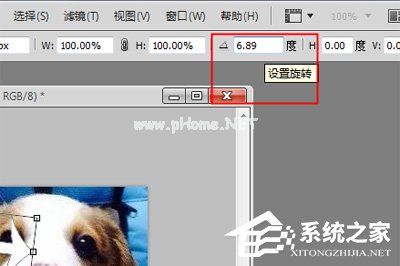 PhotoShop怎么旋转图片？PhotoShop旋转图片的方法