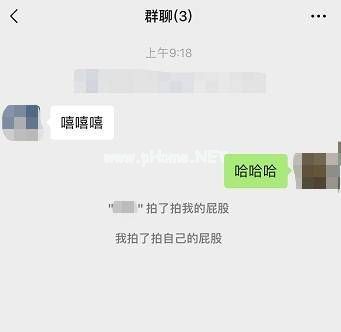 微信拍一拍怎么自定义文字？自定义文字方法[多图]图片3