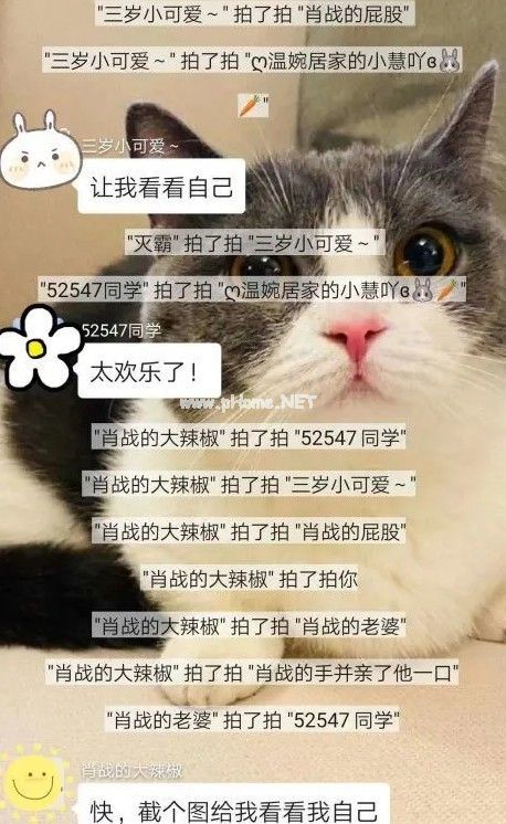 微信拍一拍怎么说话 拍一拍语音说话操作方法[多图]图片2