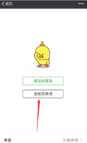 微信如何添加GIF小黄鸭表情 添加微信GIF小黄鸭表情的方法