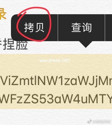 楚留香手游捏脸数据怎么导入导出 捏脸数据导入导出方法攻略[多图]图片5