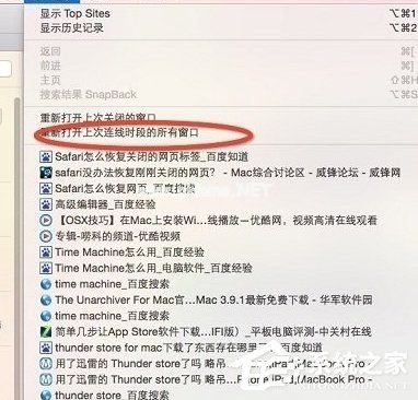 safari浏览器恢复关闭的网页的具体操作步骤