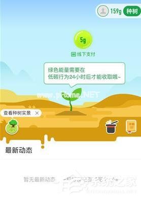 支付宝怎么在线上查看种树 支付宝查看种树的操作介绍