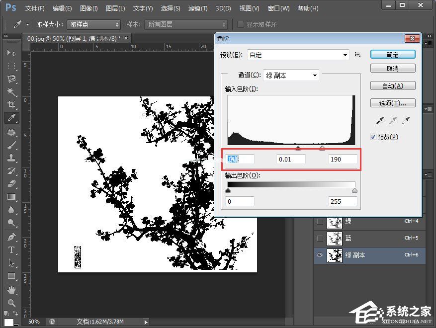 PS如何使用通道抠梅花？PS通道抠图教程分享