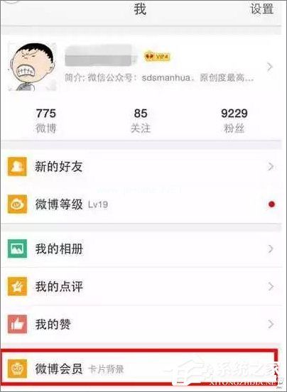 新浪微博怎么设置来自iPhone  X小尾巴？