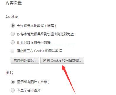 清除谷歌Chrome浏览器中某个网站的Cook