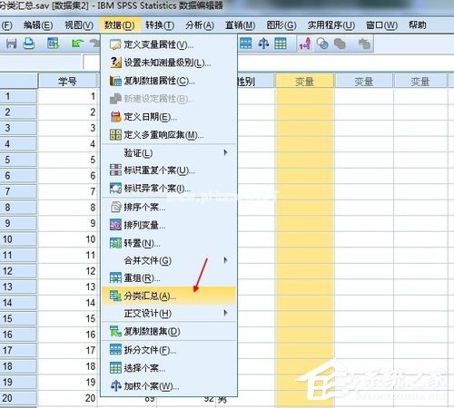 Spss怎么用？Spss分类汇总教程