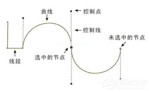 PS钢笔工具怎么用？PS钢笔工具使用技巧