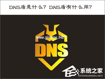 DNS盾是什么？DNS盾有什么用？