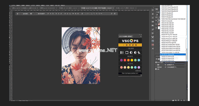 Vsco全滤镜PS调色插件特色