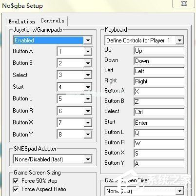 NDS模拟器怎么放大？NDS模拟器放大教程