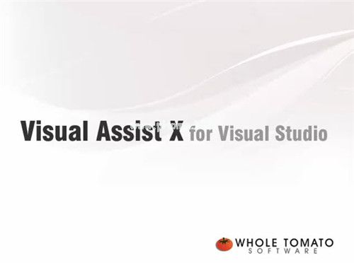 Visual  Assist  X  破解版软件功能