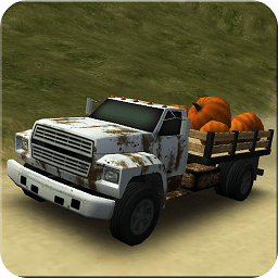 3d泥路货车游戏(Dirt Road Trucker 3D)