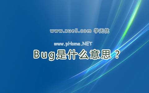 Bug是什么意思