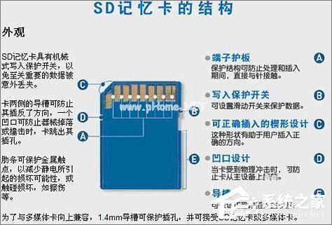 TF卡和SD卡的区别在哪？一分钟搞懂！