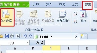 wps导入数据选项