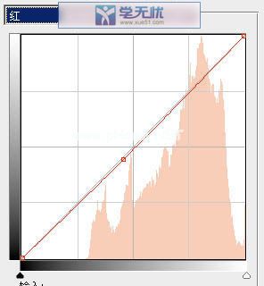 红色参数