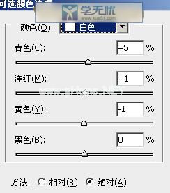 白色参数