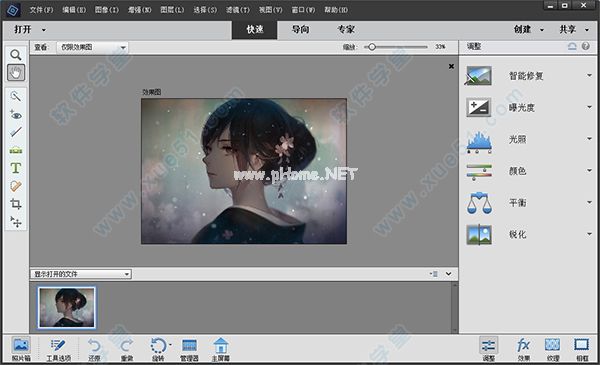 Adobe  Photoshop  Elements  2021