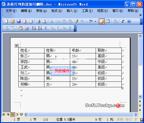 删除行和列