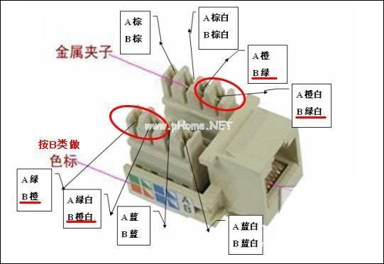 网线插座