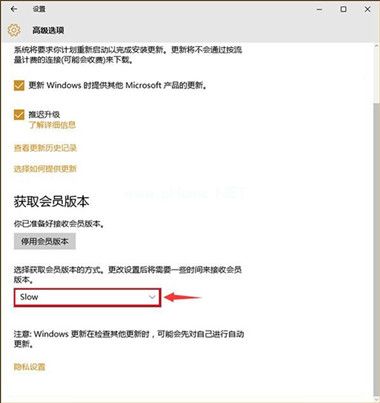 Win10预览版怎么升级，Win10预览版升级更新设置方法