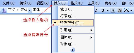 打开插入特殊符号