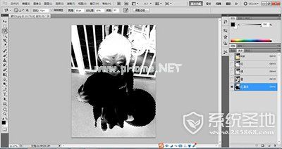 adobe  photoshop  cs2教程：Photoshop  CS2怎么抠图？