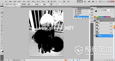 adobe  photoshop  cs2教程：Photoshop  CS2怎么抠图？