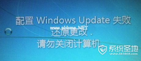 windows  update