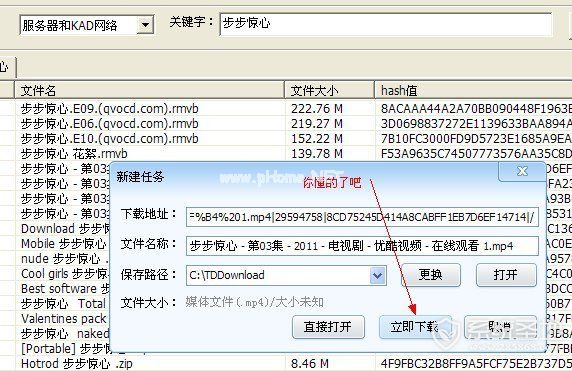 p2psearcher怎么用，p2psearcher使用教程