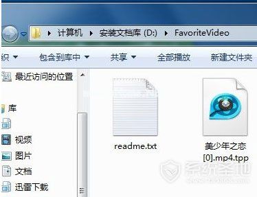 favoritevideo是什么文件