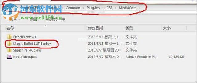 PR  CS6安装Magic  Bullet  Lut  Buddy插件的方法