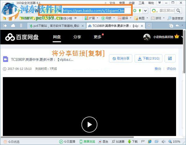 pan  download  sharecopy的使用教程