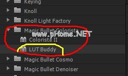 PR  CS6安装Magic  Bullet  Lut  Buddy插件的方法