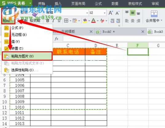 将wps表格选中区域变成图片的方法