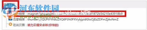 迅雷磁力链接的使用方法