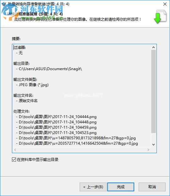 Snagit转换图像格式的方法